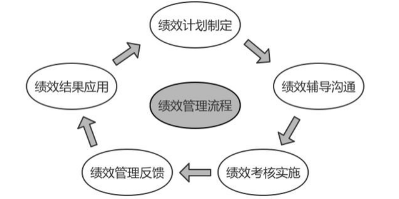绩效管理咨询